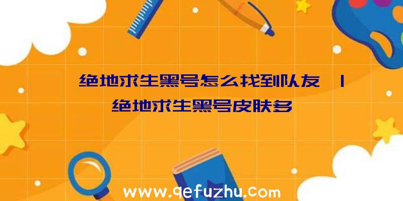 「绝地求生黑号怎么找到队友」|绝地求生黑号皮肤多